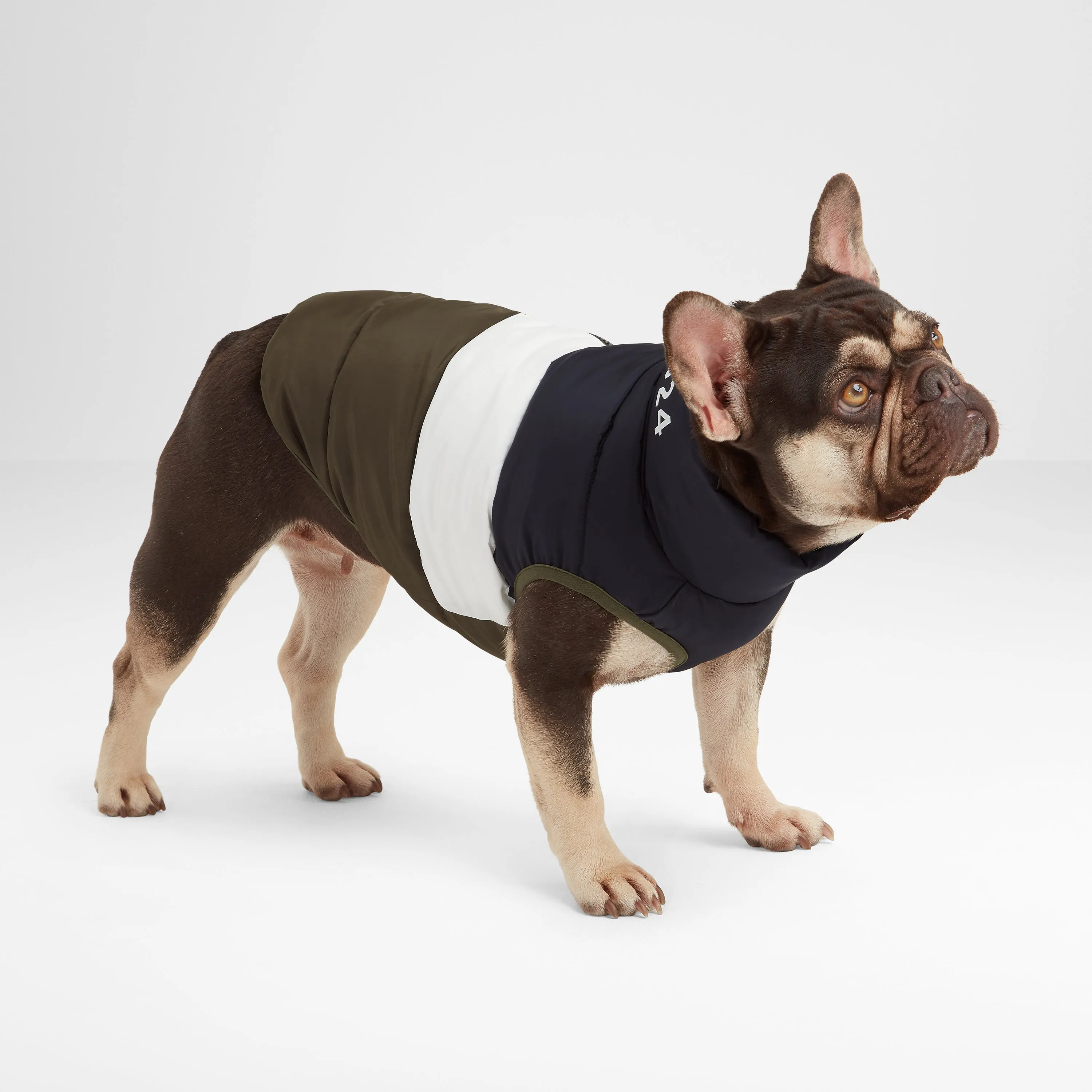 Fetch Padded Dog Coat XS - Khaki/Dark Indigo/Optic White