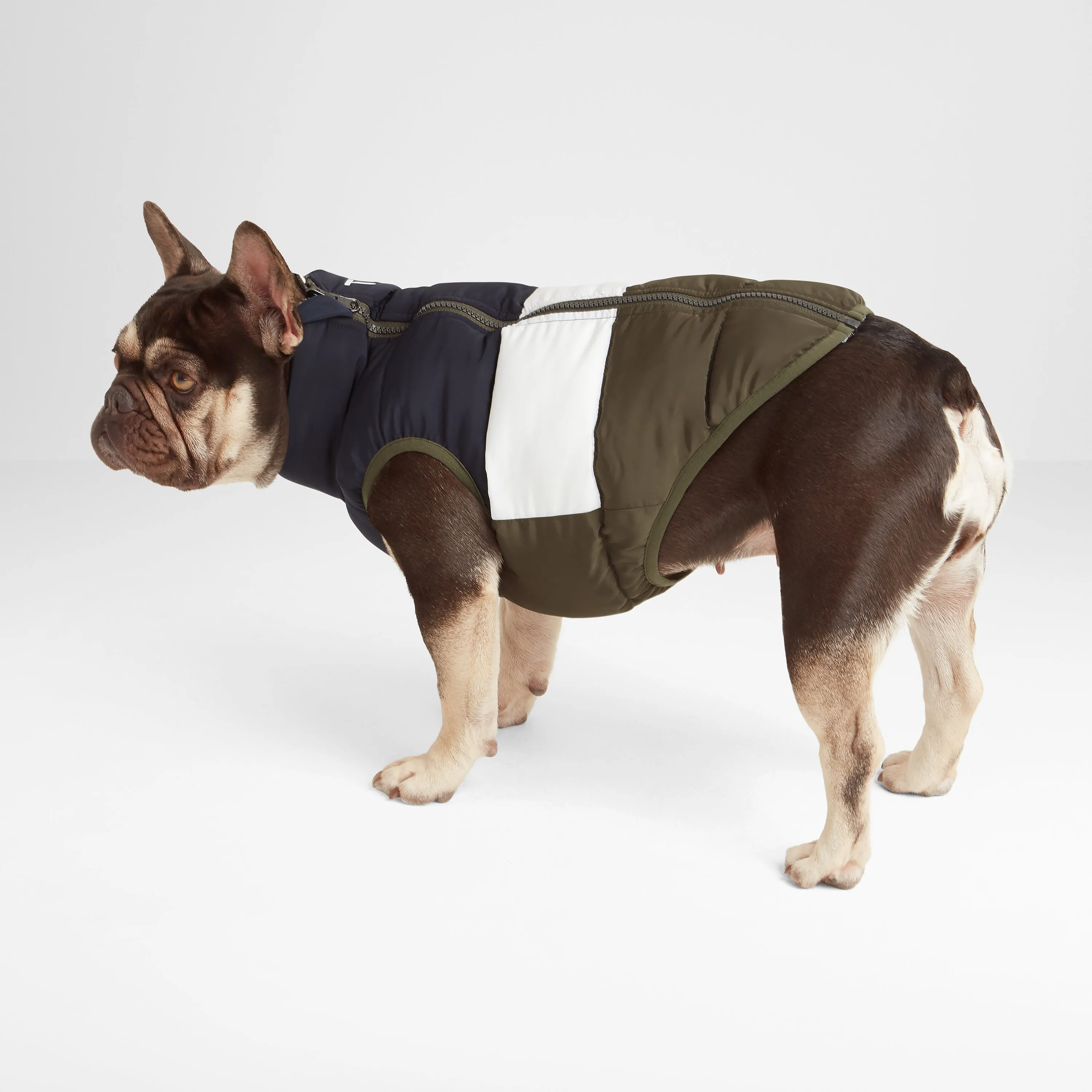 Fetch Padded Dog Coat XS - Khaki/Dark Indigo/Optic White