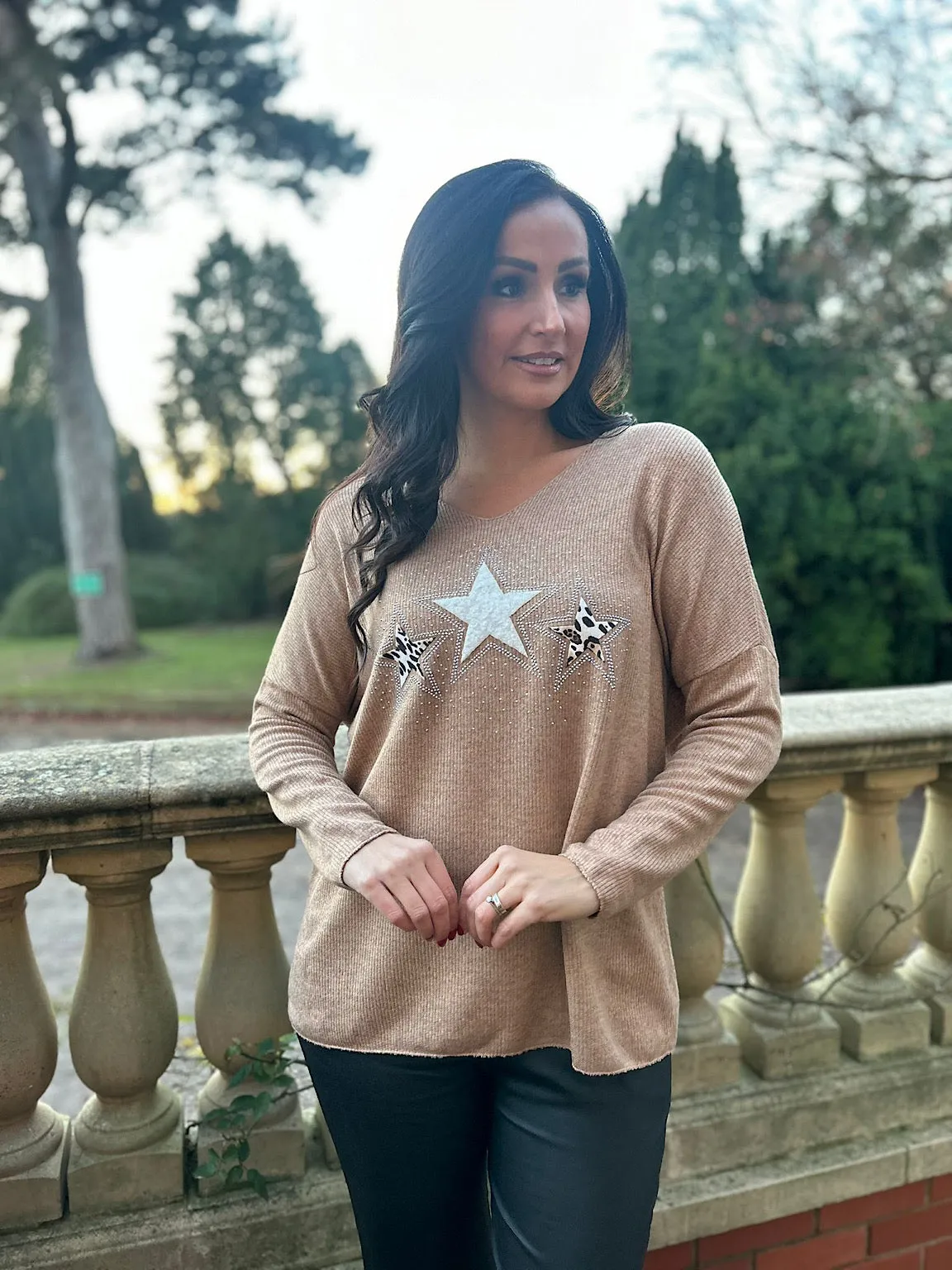 Tan V Neck Sparkle Star Knit Chloe